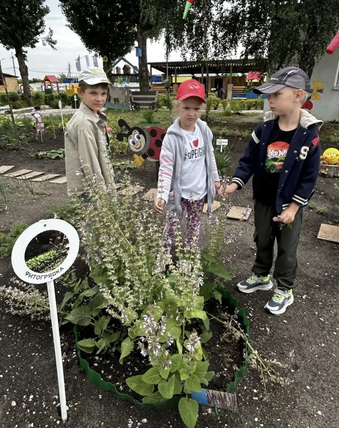 🌿«Зеленая аптека» на прогулке: День лекарственных растений!🌿

Кто сказал, что самая лучшая аптека 