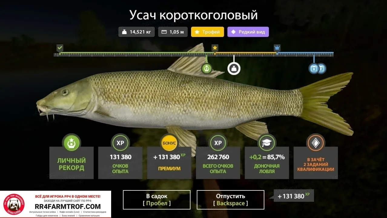 #ахтуба@pp4farmtrof
Ахтуба
🇷🇺 Россия
УСАЧ КОРОТКОГОЛОВЫЙ
Точка клева: 33:103
Клипса: 17 метров

Вс