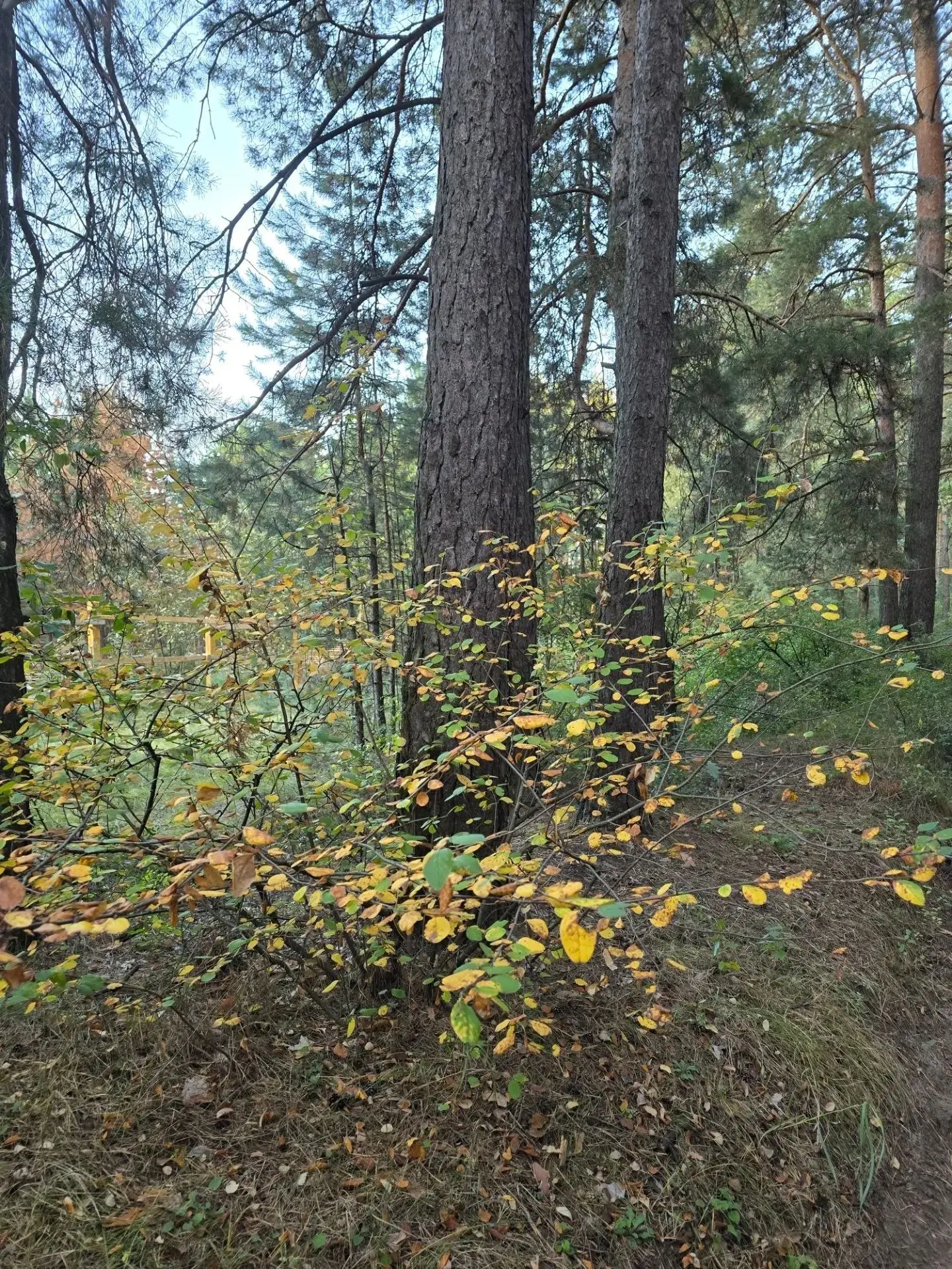Доброй ночи, Ульяновск! ❤️