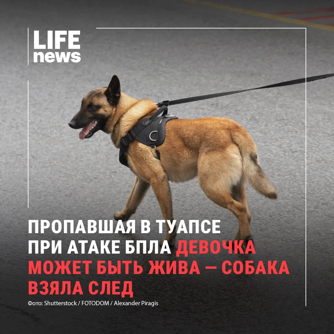 Родители и волонтёры считают, что 14-летняя девочка, которая якобы погибла во время ата...