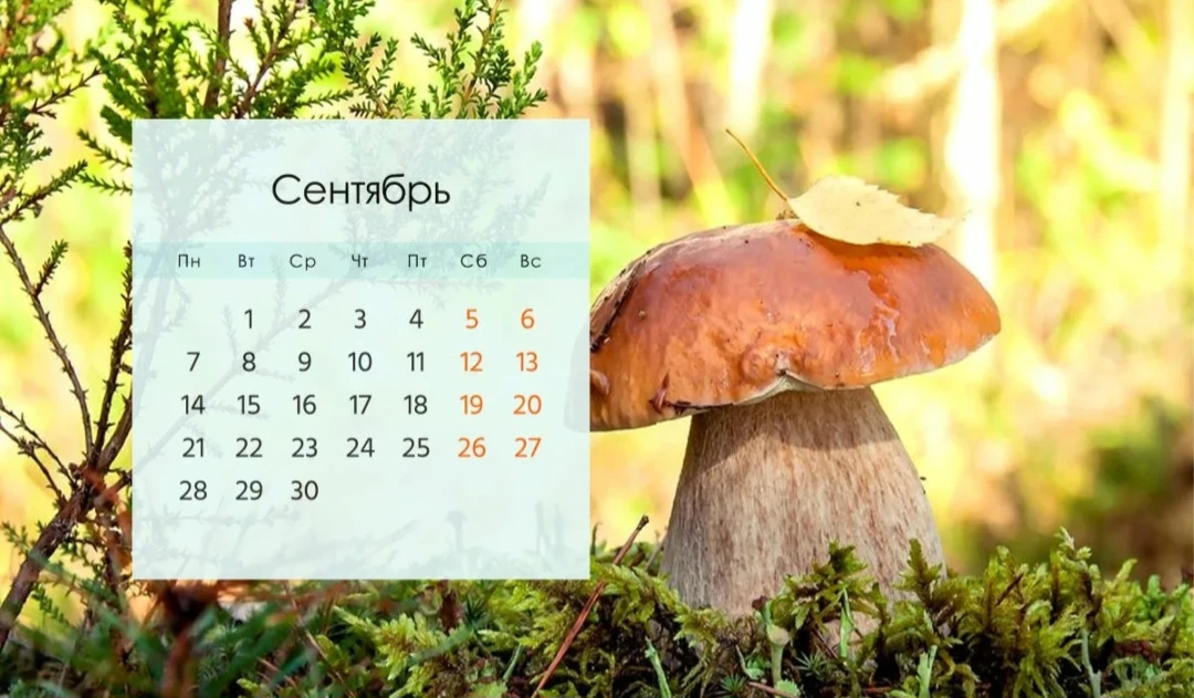 ПРОГНОЗ