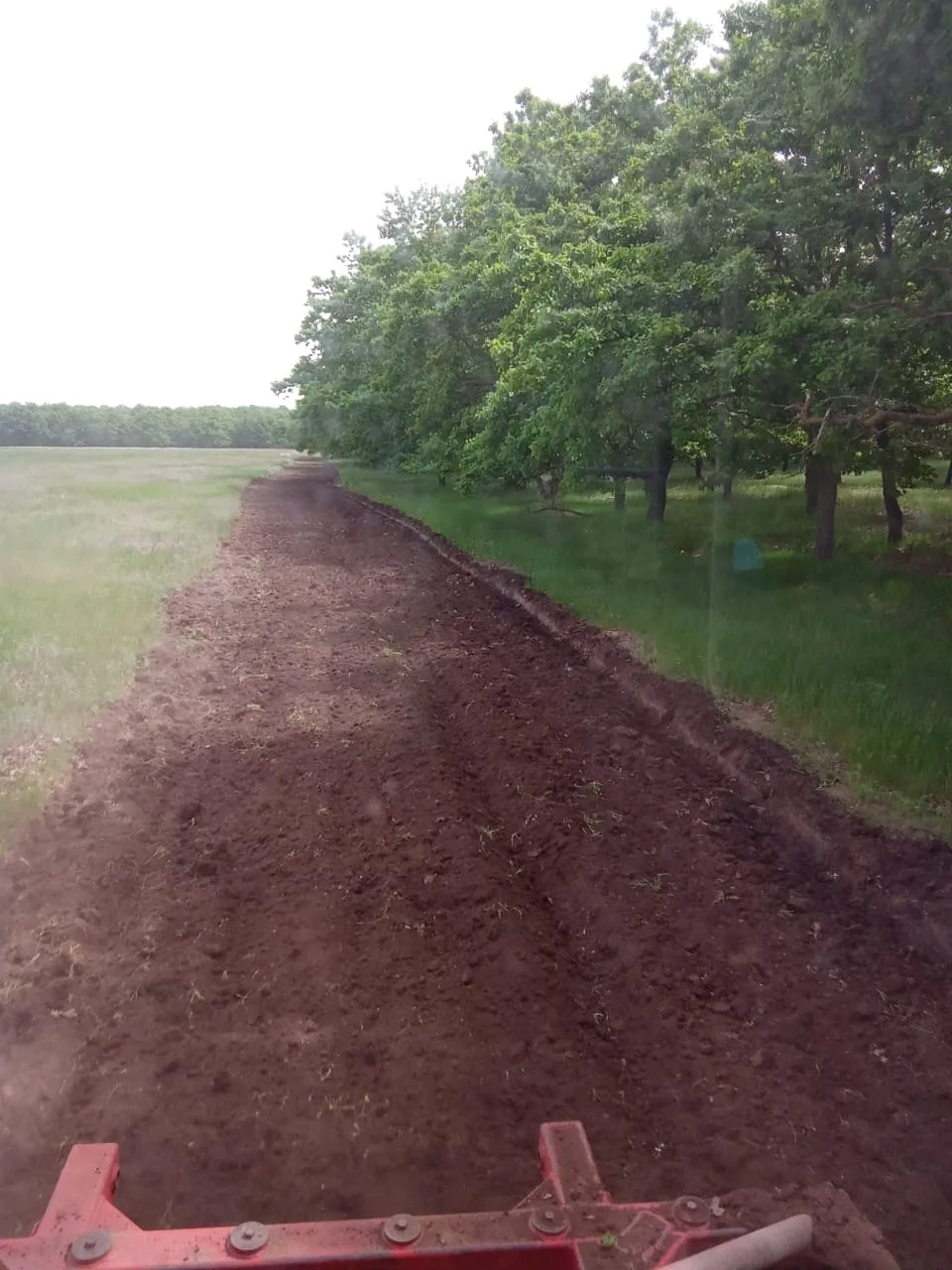 🌿 Согласно календарным планам, работниками АУ РК «Калмлес» проводится агротехнический ...