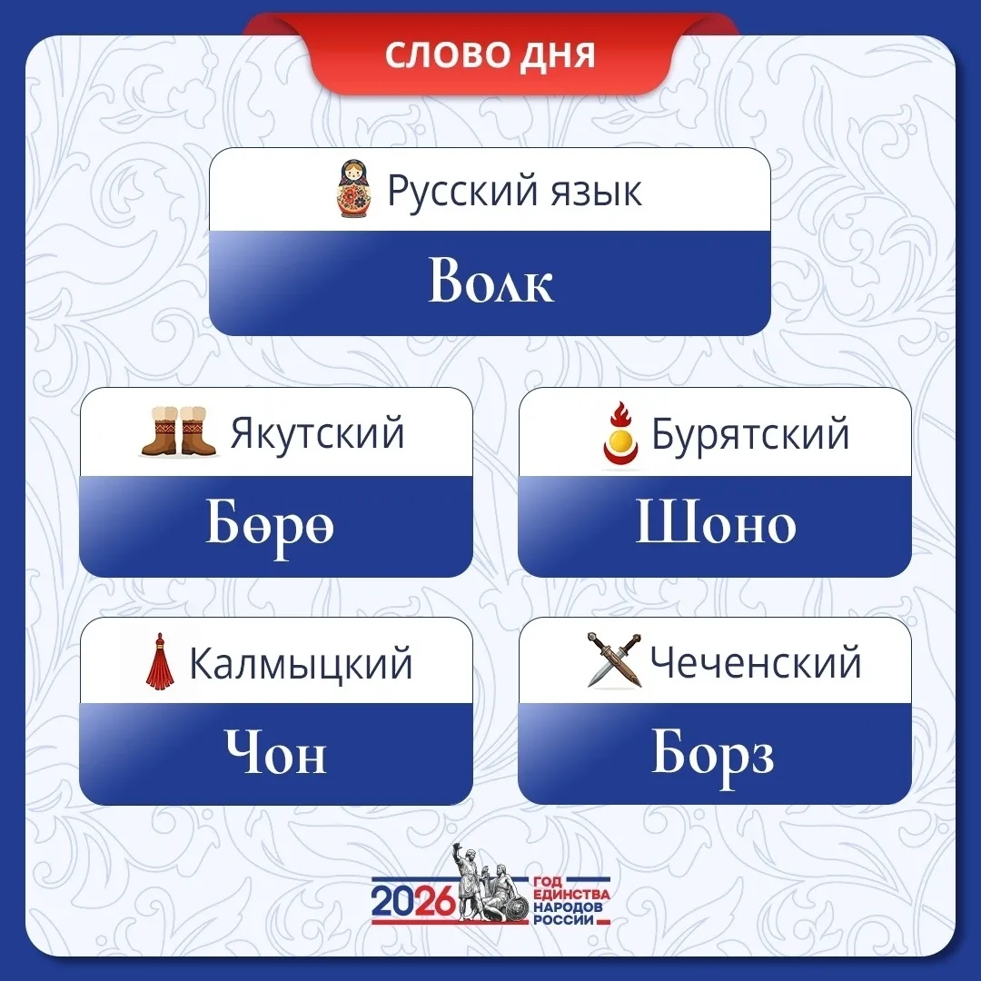 Рубрика «Слово дня», посвященная Году единства народов России🇷🇺