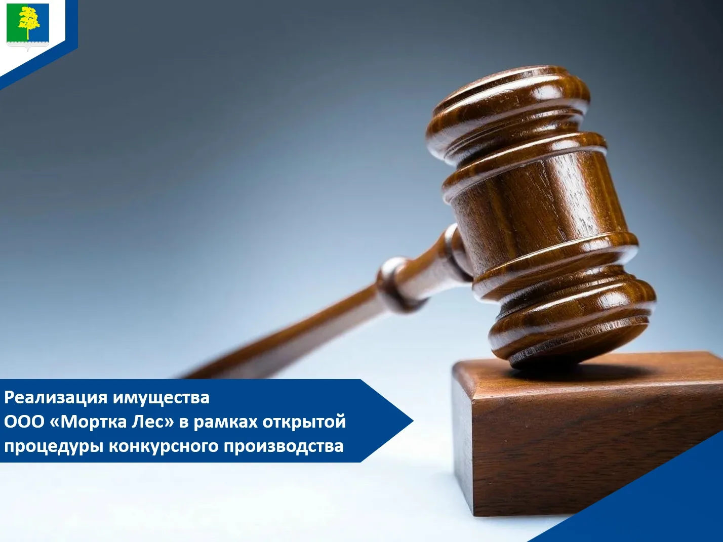 Уважаемые предприниматели! 

ℹ️Информируем о реализации имущества ООО «Мортка Лес» в рамках открытой