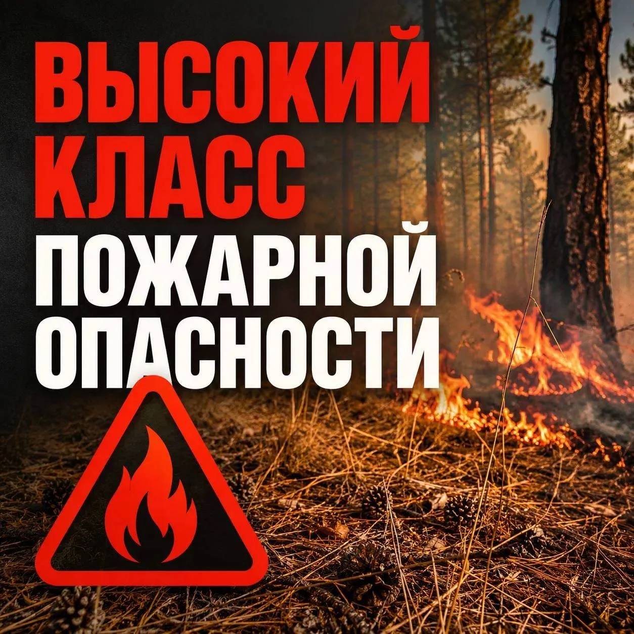 🔹Управление КЧР по ГО, ЧС и ПБ сообщает о том, что до конца суток 24 августа, в течени...
