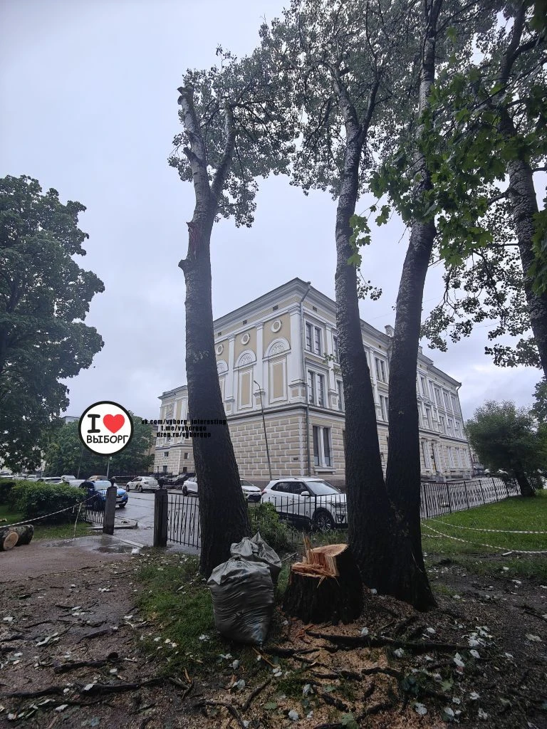 Прощайте, великаны.

📍Подпишись "Интересные события в Выборге"