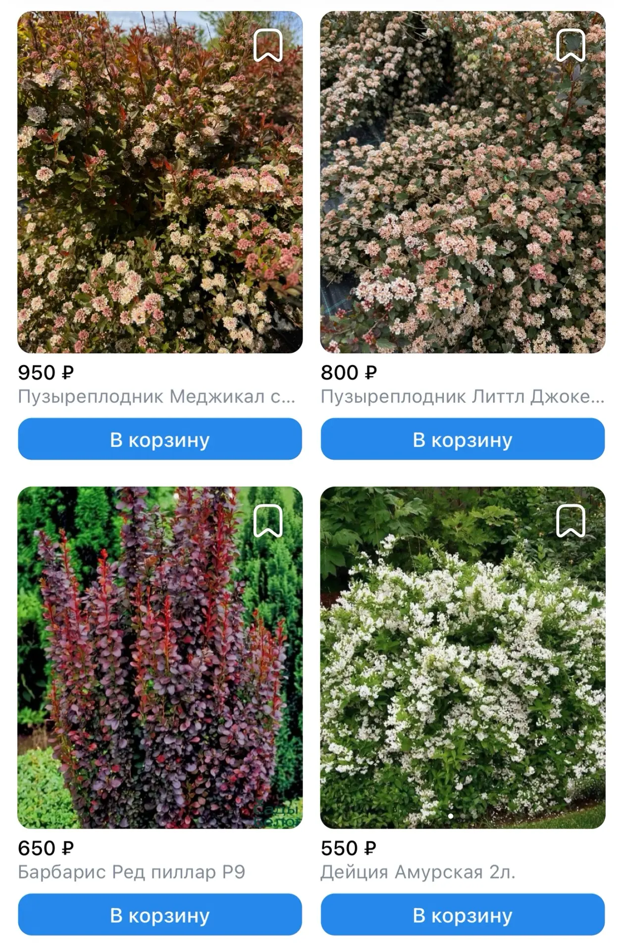Фото