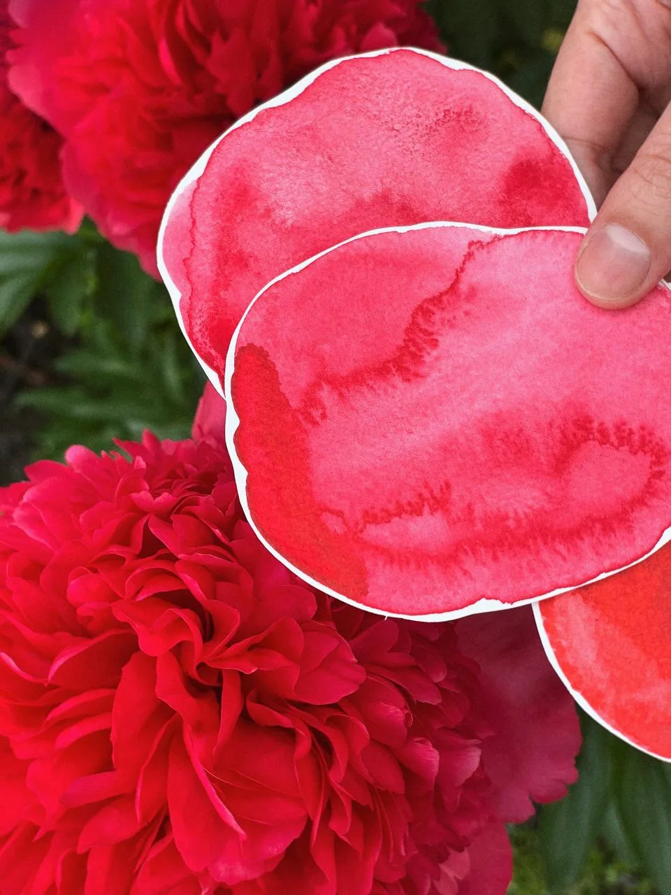 Какого цвета летний сад? 🌺

Он насыщенный, яркий, сочный. Прямо как Красный хинакридон.

Это один и