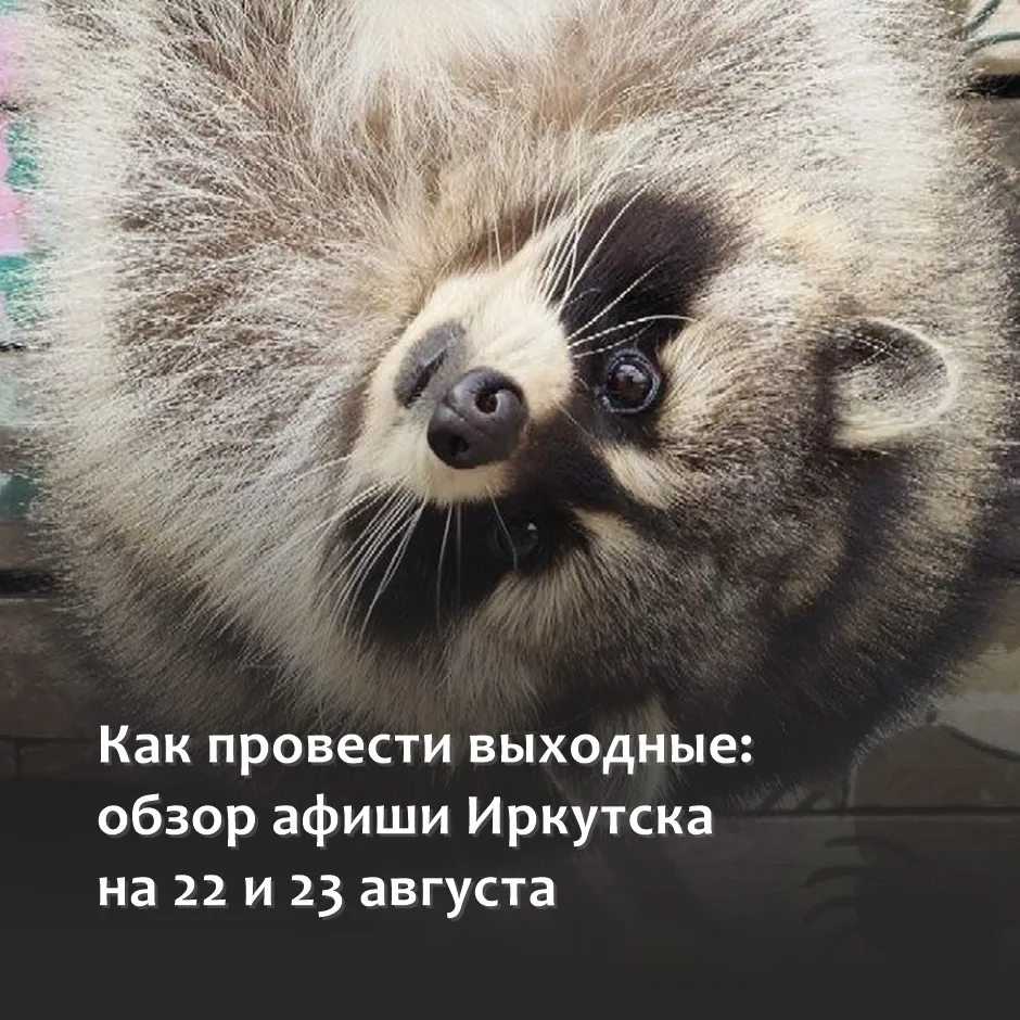 ✨ Афиша на выходные
