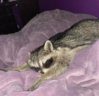🌜Доброй ночи, дорогие подписчики! Доброй ночи, Запорожье!😴

Запорожская область
🌦 + 14°...  + 24°