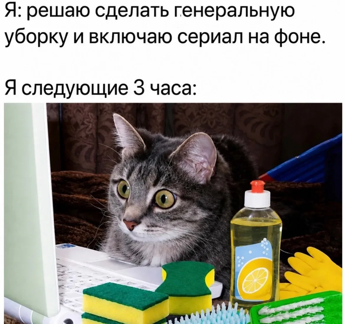 Открытки и приколы 🌸