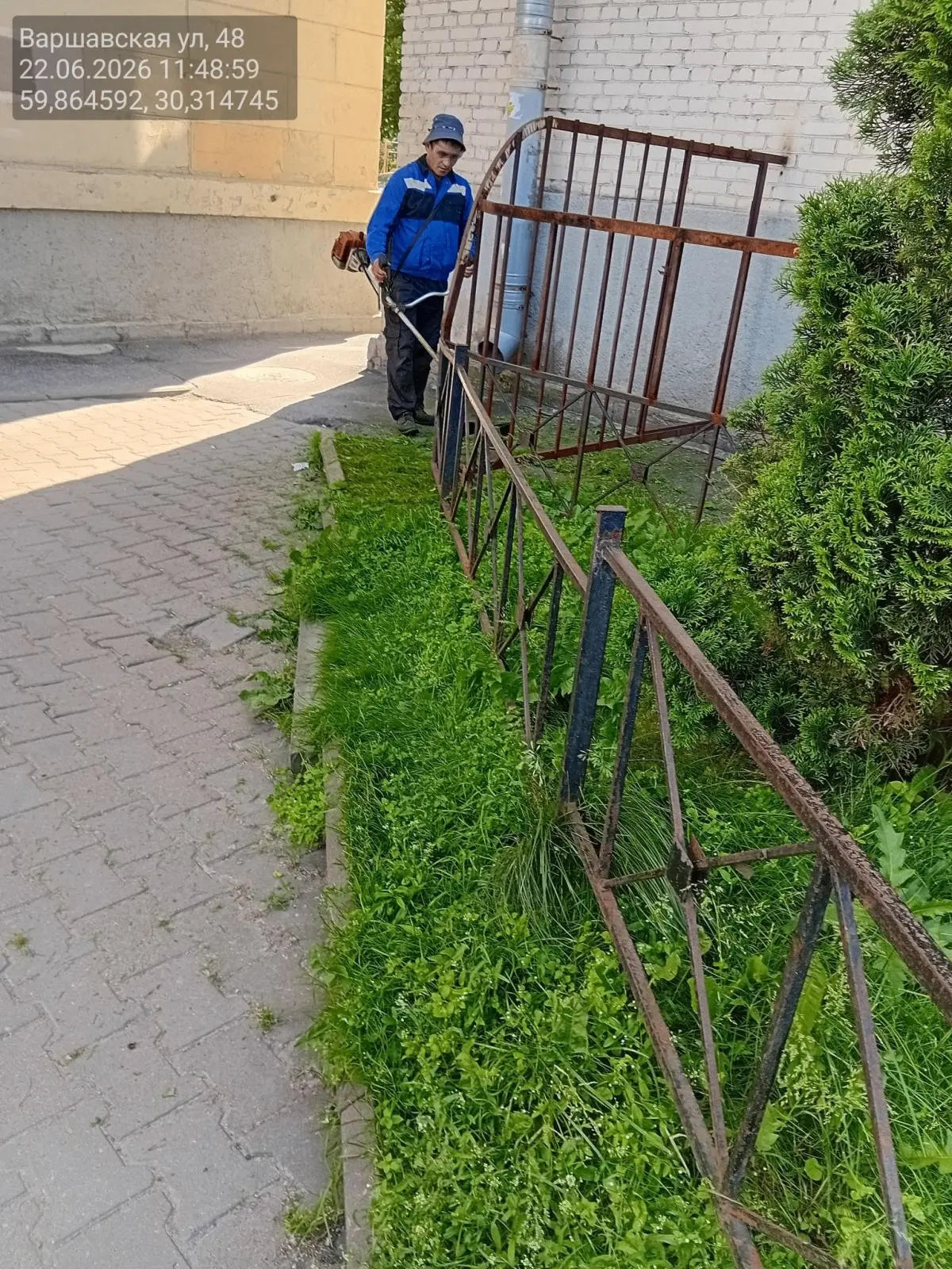 Покос травы на газонах многоквартирного дома по адресу: Варшавская улица, д. 48