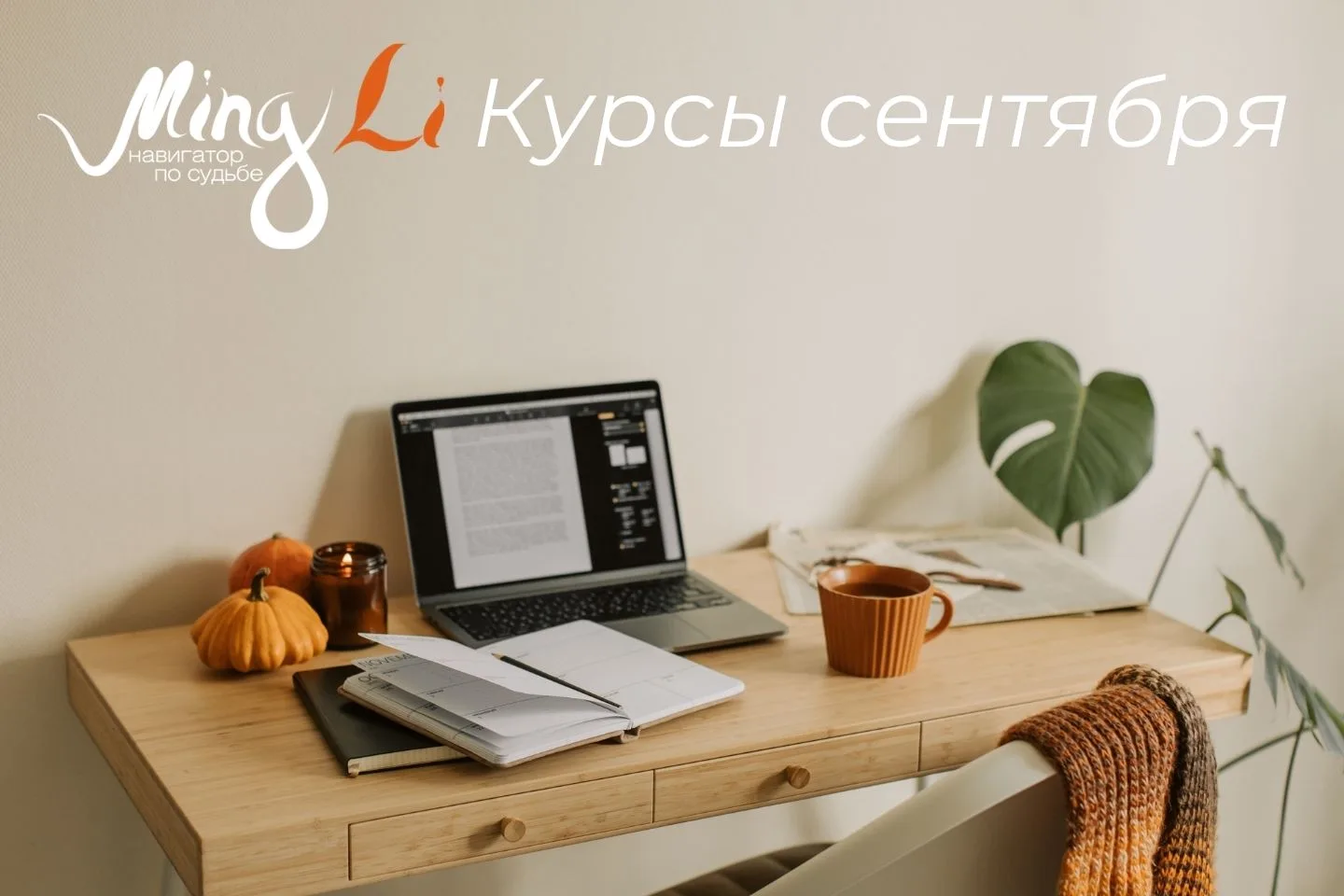 🗓 Курсы сентября: выбираем направление для обучения