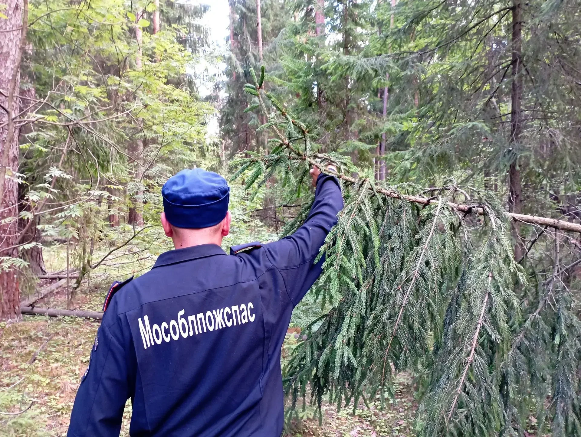🍄‍🟫 В Можайском округе спасатели вывели из леса троих заблудившихся грибников