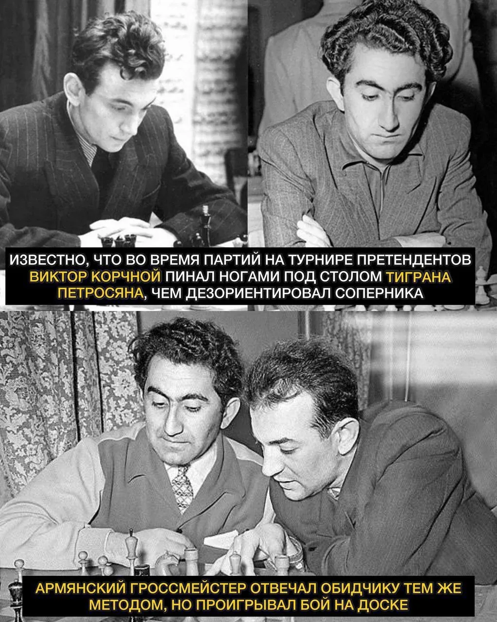 Настоящая «война под столом»