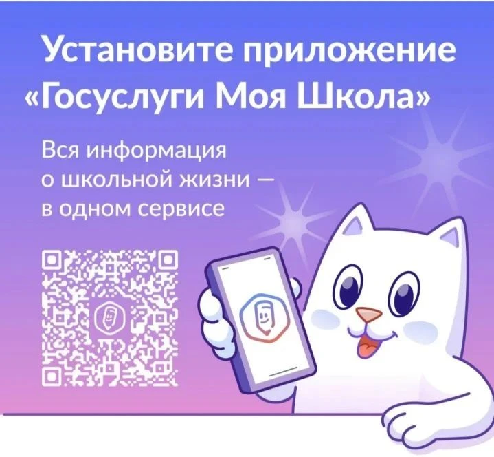 Во всех школах в обязательном порядке используют отечественную государственную информац...