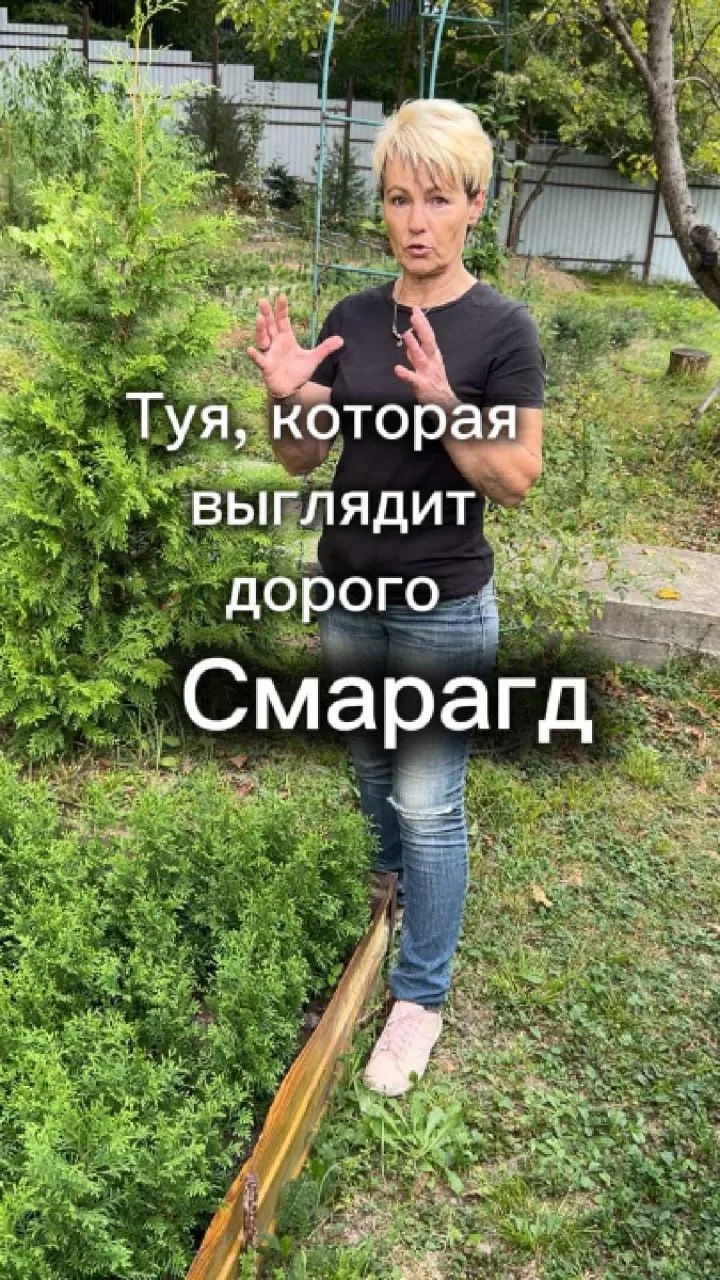 🌲 Хотите, чтобы сад выглядел дорого?