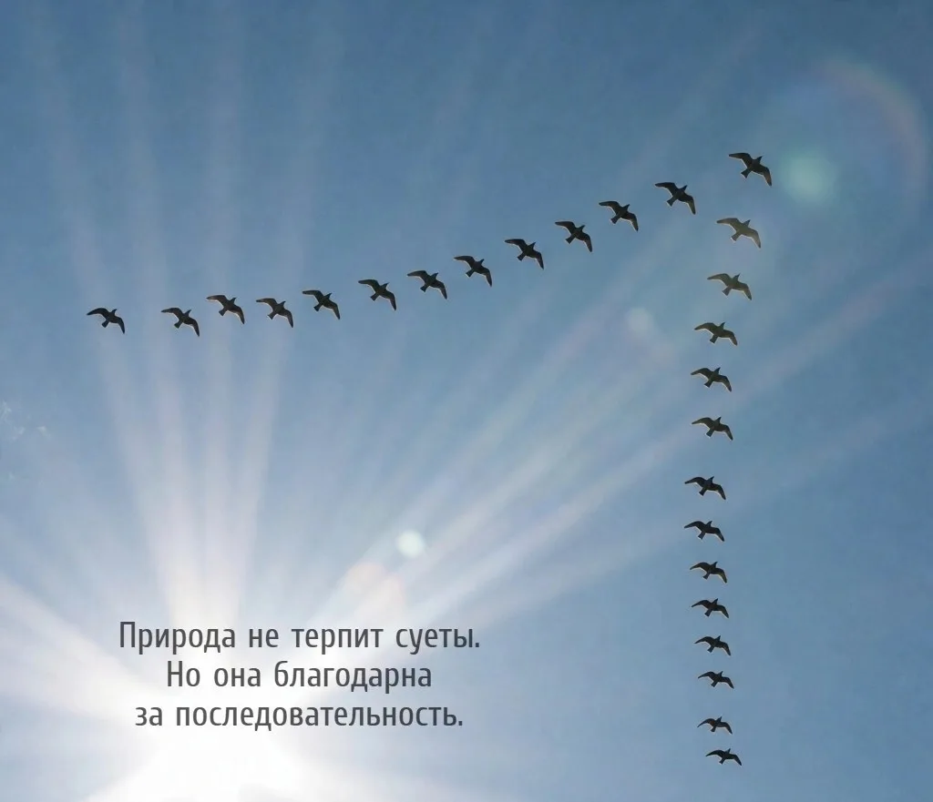 #Чистыйвоздух