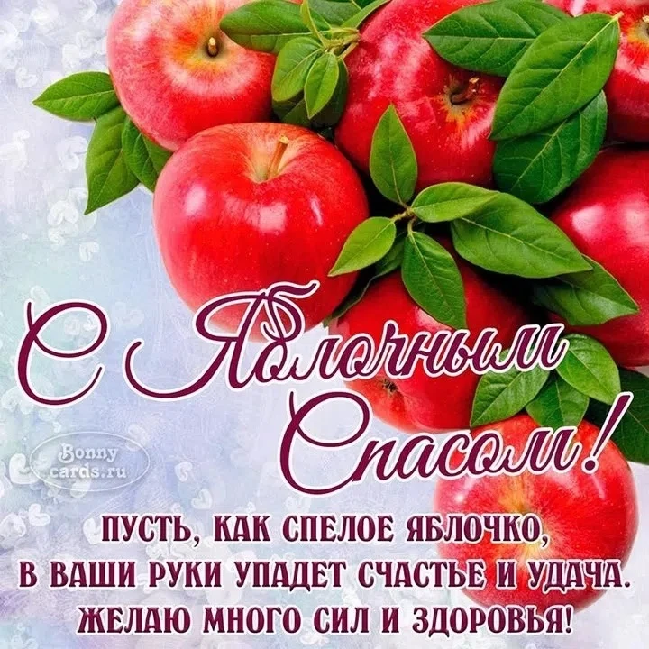 #МБДОУ5УлыбкаВолгореченск