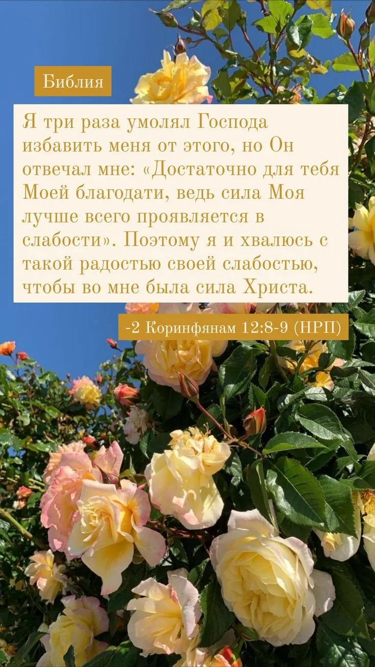 Библия на каждый день