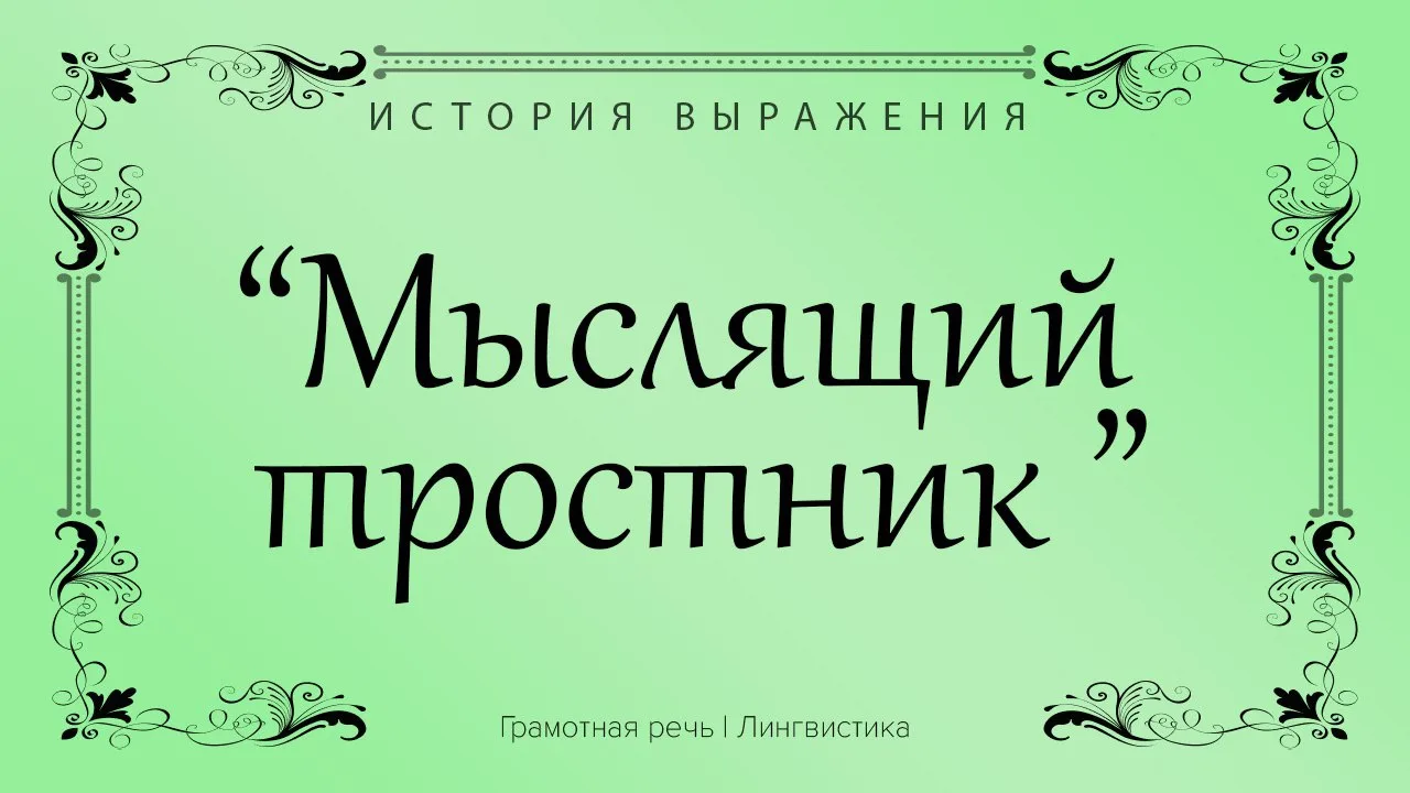 Обозначает человека как мыслящее существо.