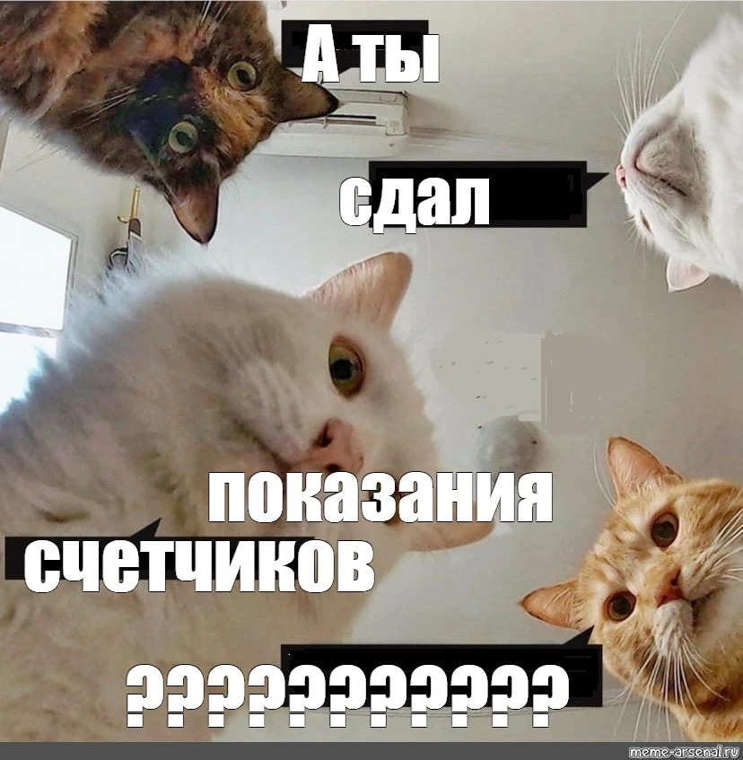 Как проверить квитанции ЖКХ и не переплачивать📌
