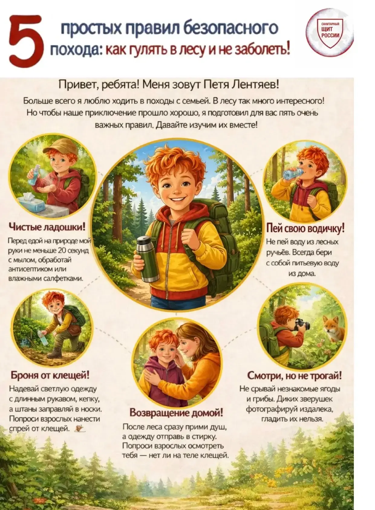 🌲 5 простых правил безопасного похода: как гулять в лесу и не заболеть!