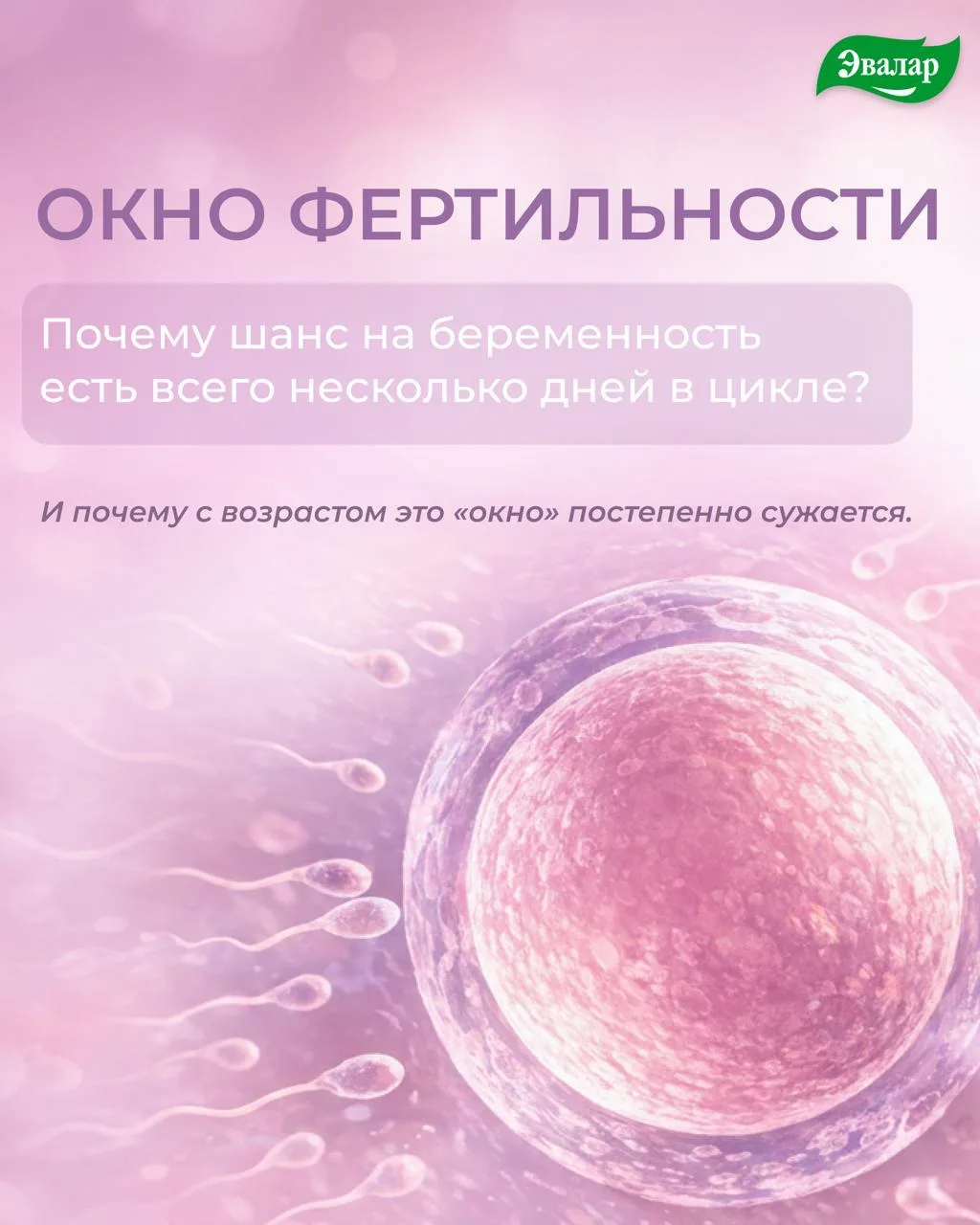 Не получается забеременеть?
Почему у одних беременность наступает быстро, а другие месяцами пытаются