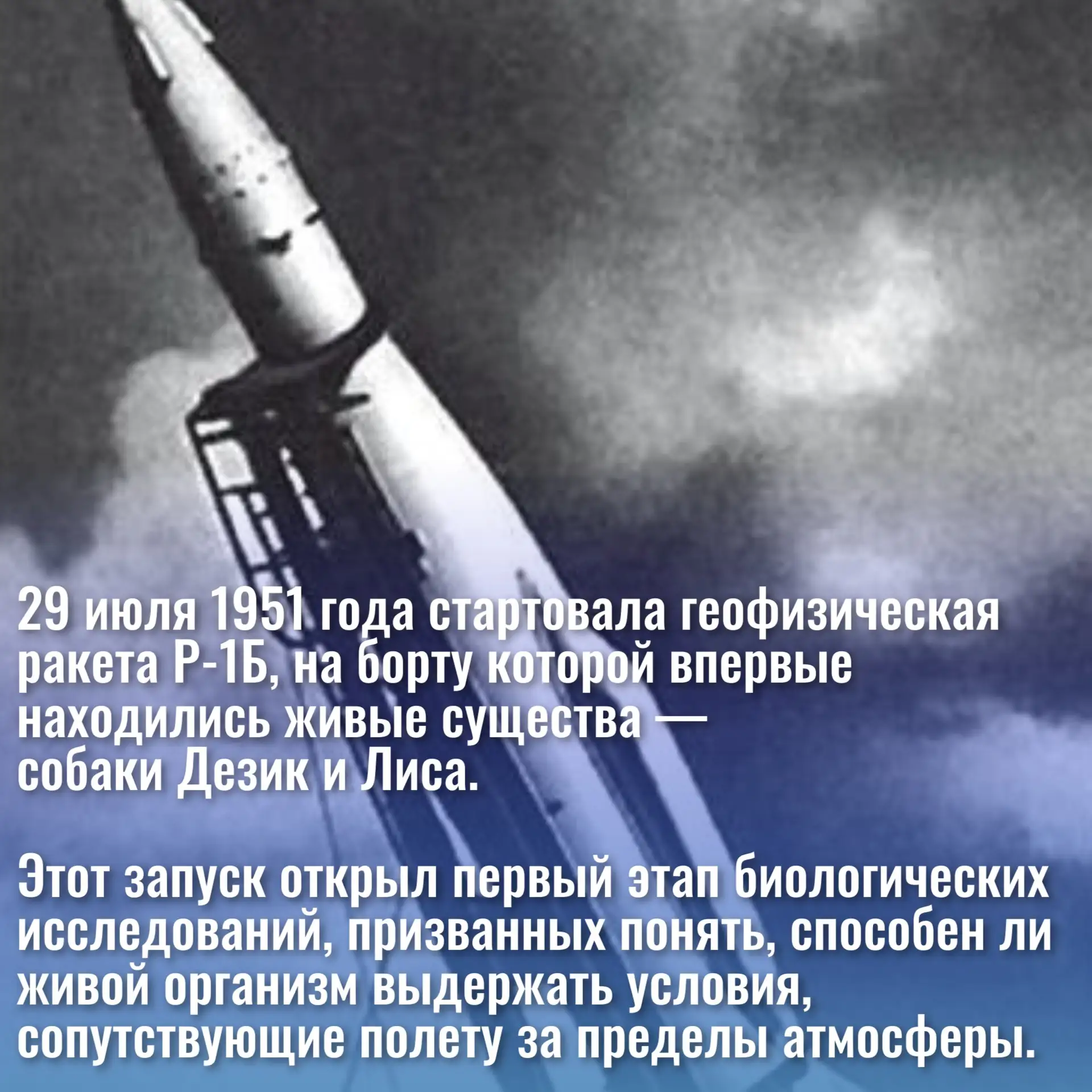 29 июля 1951 года запущена первая советская ракета Р-1Б с животными на борту.
Узнайте больше, заброн