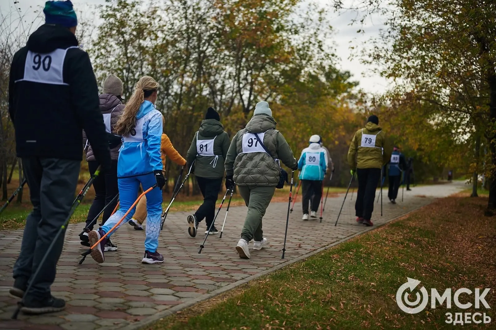 🚶‍♂ Перезагрузка для нервов и сердца: омичей приглашают наматывать круги по "Птичьей г...
