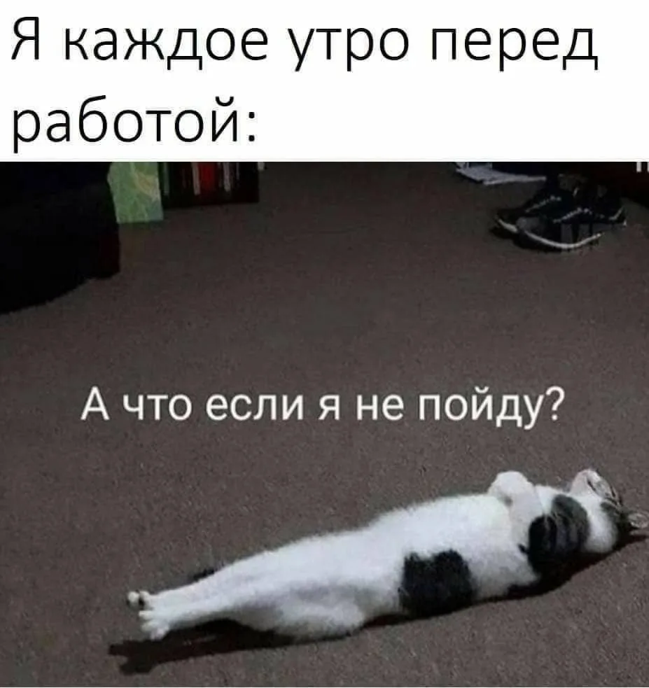 Кактус