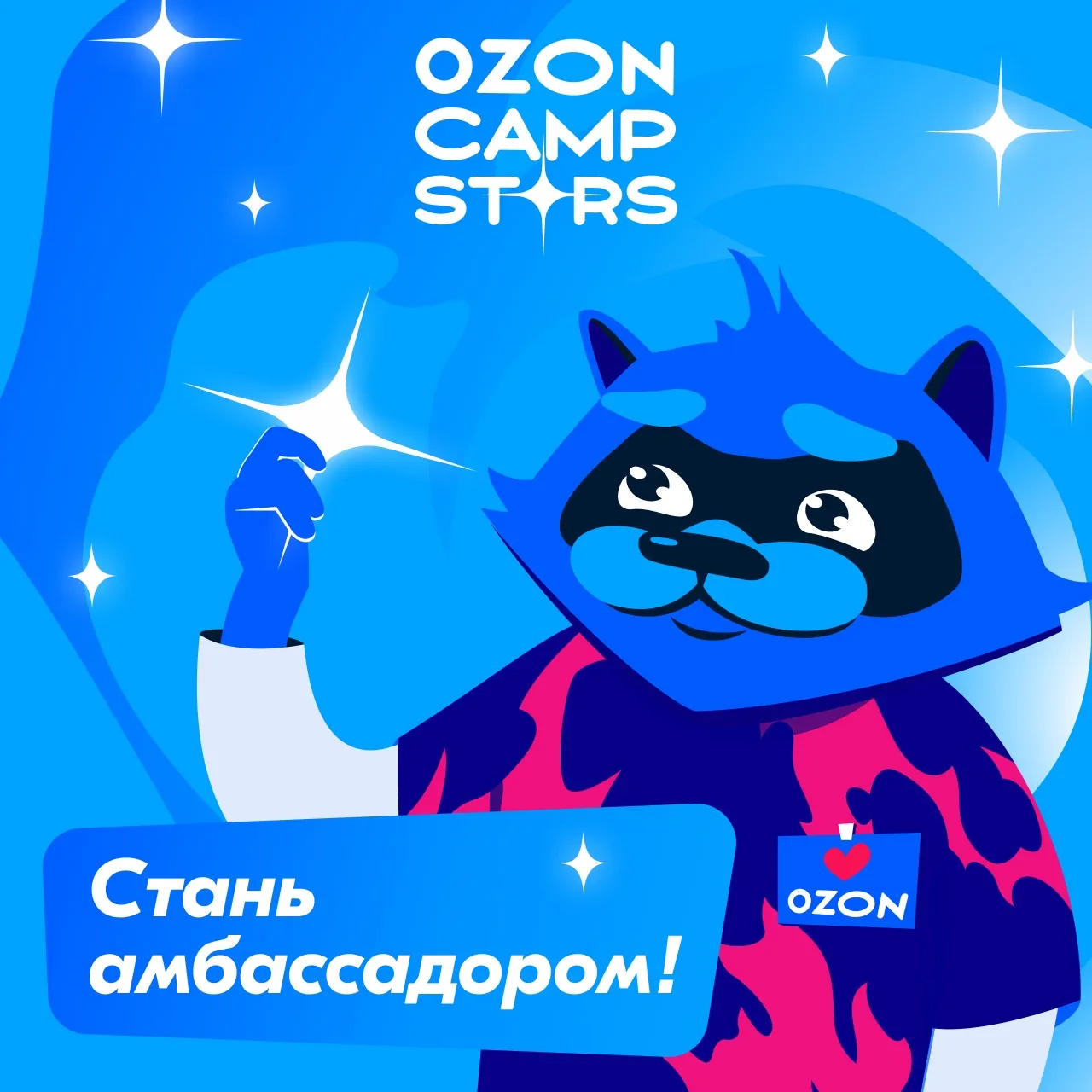 Набор на амбассадорскую программу Ozon Camp Stars⭐️
