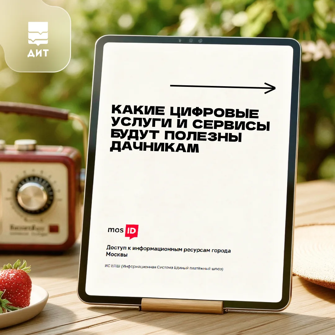 🏡 Дачный сезон в разгаре: кто-то высаживает рассаду, кто-то наслаждается прогулками на...