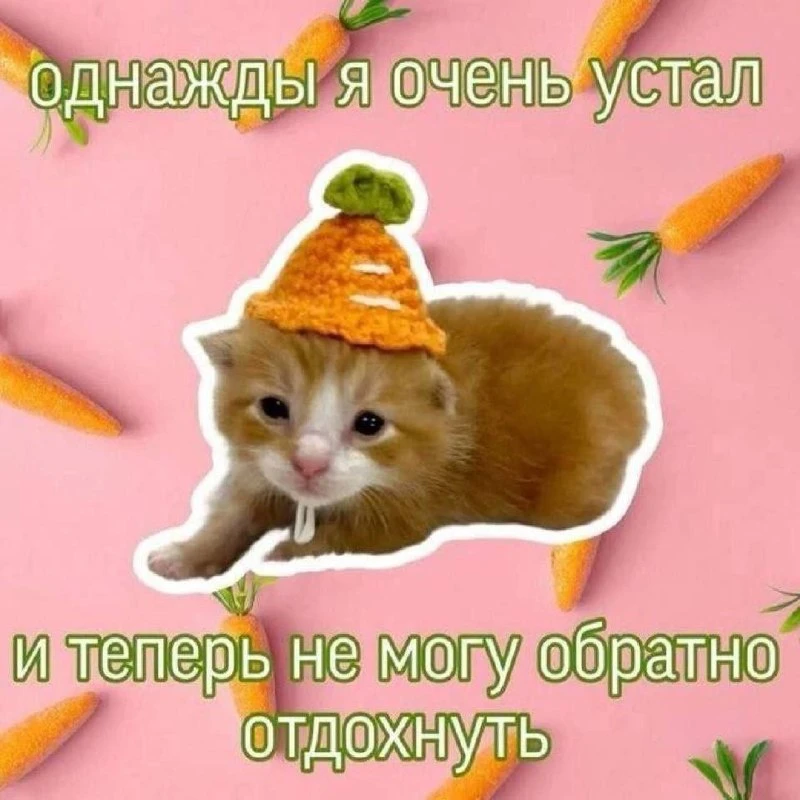 Всем утро!)