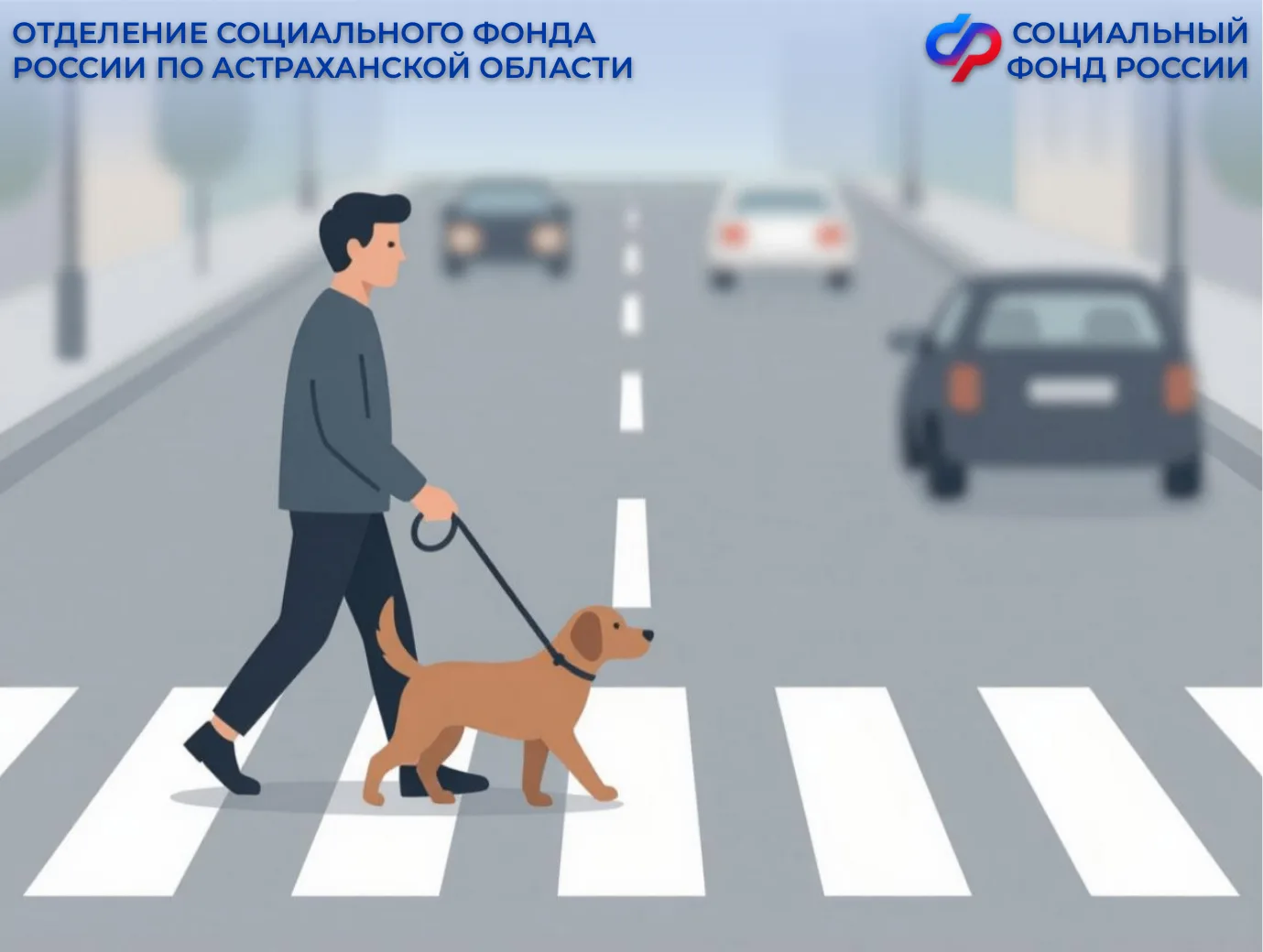 Астраханцы с нарушением зрения могут возместить затраты на корм для собак-проводников в Отделении СФ