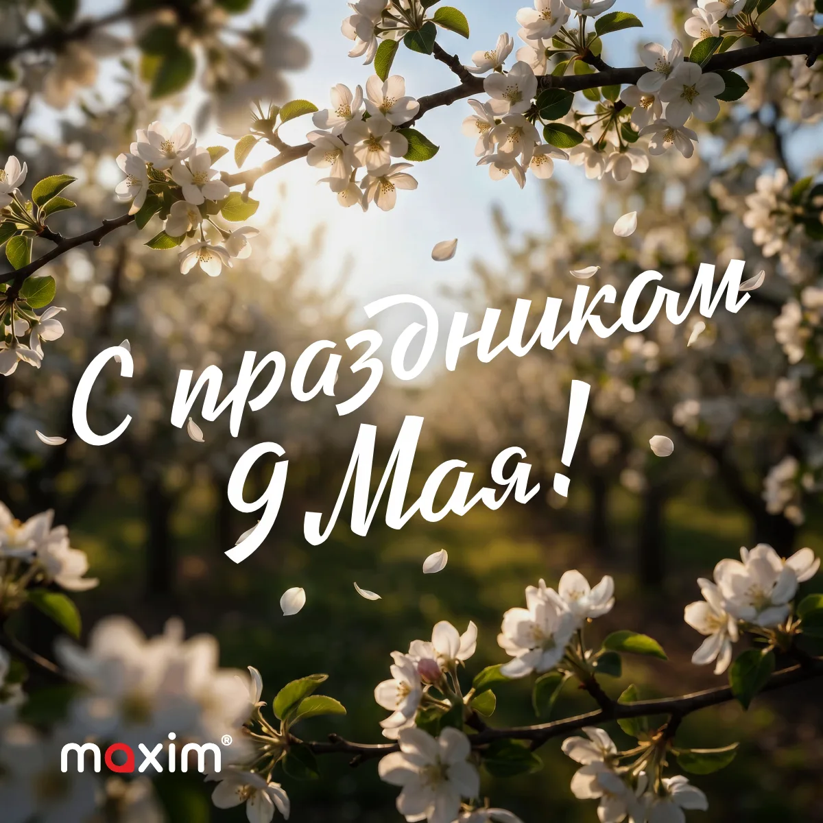 Поздравляем с 9 Мая! С праздником!