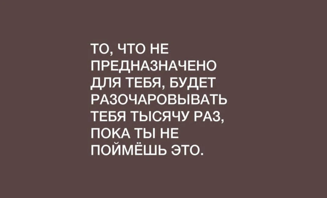 #цитаты