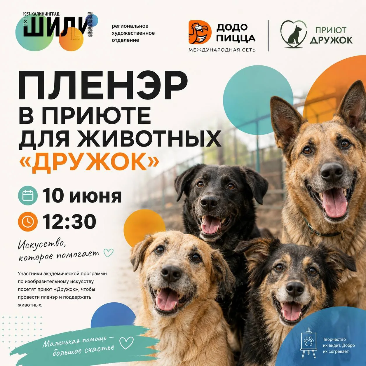 🎨🐶 Искусство, которое помогает