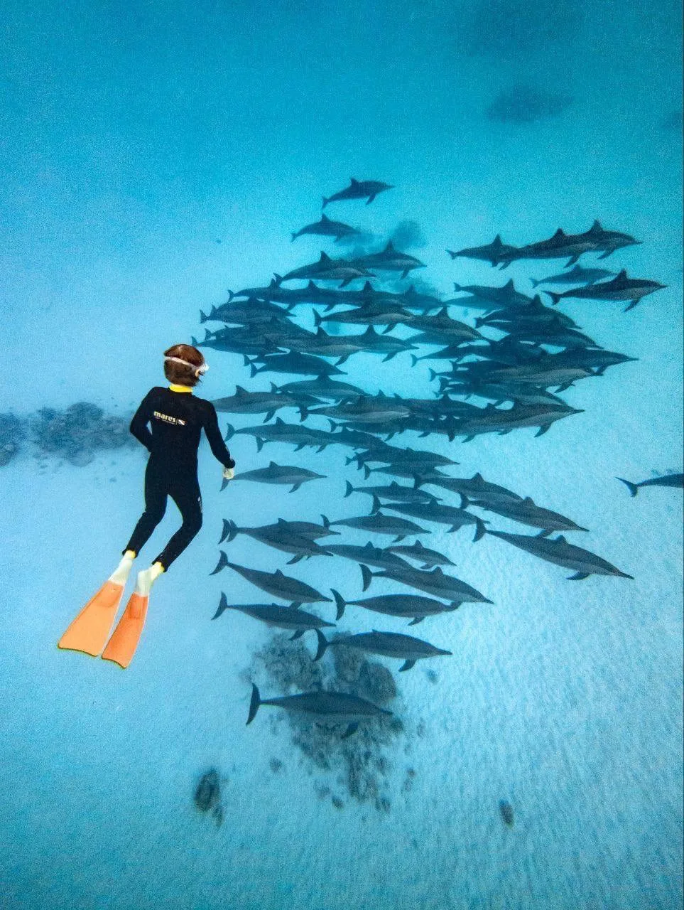 Друзья, отличные новости! 🐠