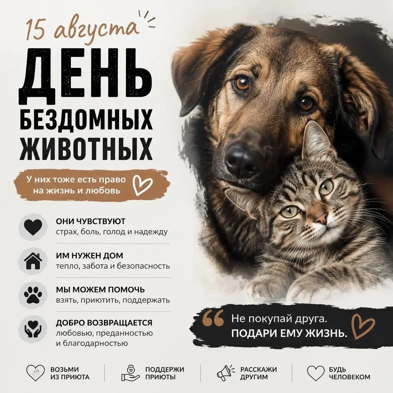 Верные сердца: 15 августа — Всемирный день бездомных животных