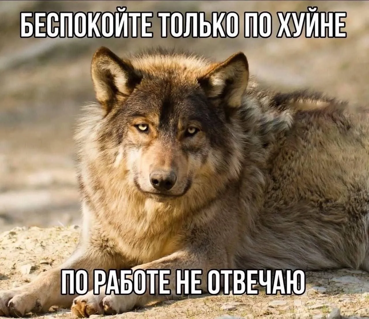 Хааххаха, факт!)