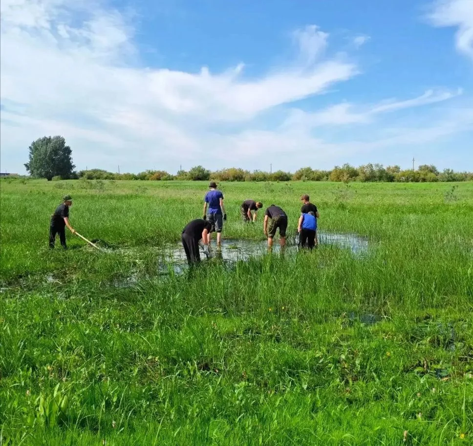 ✅Каникулы учащиеся Володарского района проводят с пользой для малой родины. 

🌿С начала июля на тер