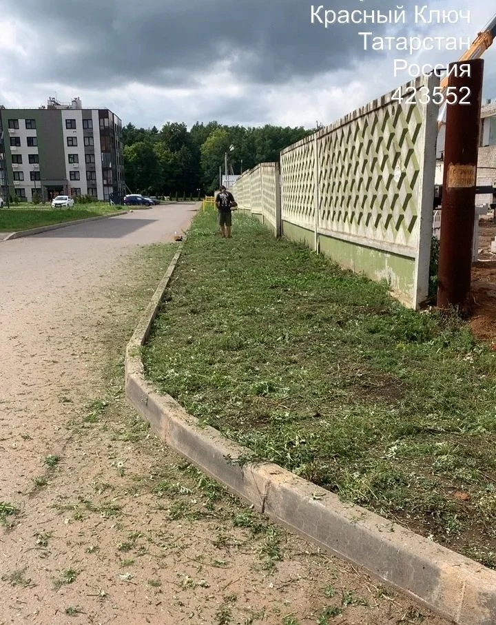 Газоны—в полном порядке! 🌿