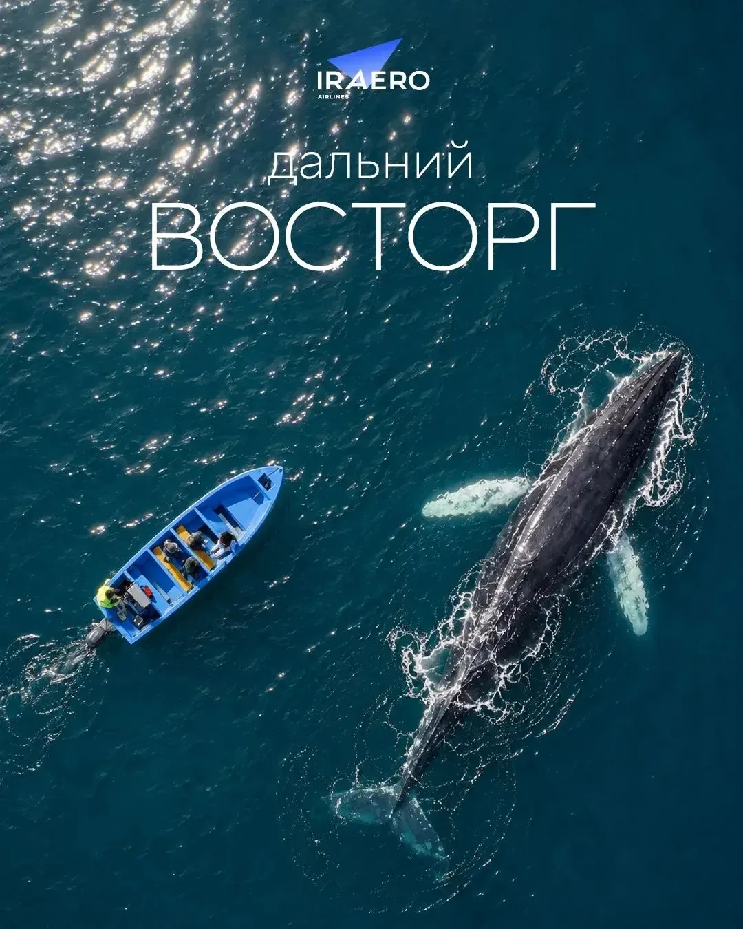 Шантарские острова - мировой топ локаций, где можно наблюдать за китами.