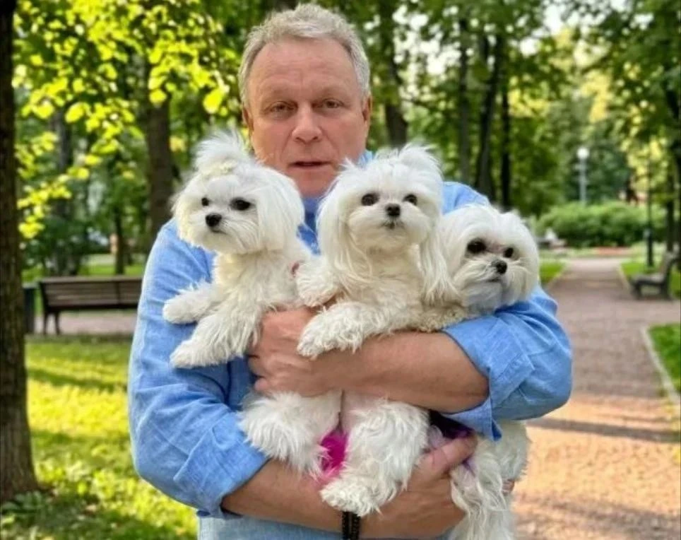 Советский и российский актер, режиссер, сценарист, продюсер и телеведущий Сергей Жигунов стал Почетн