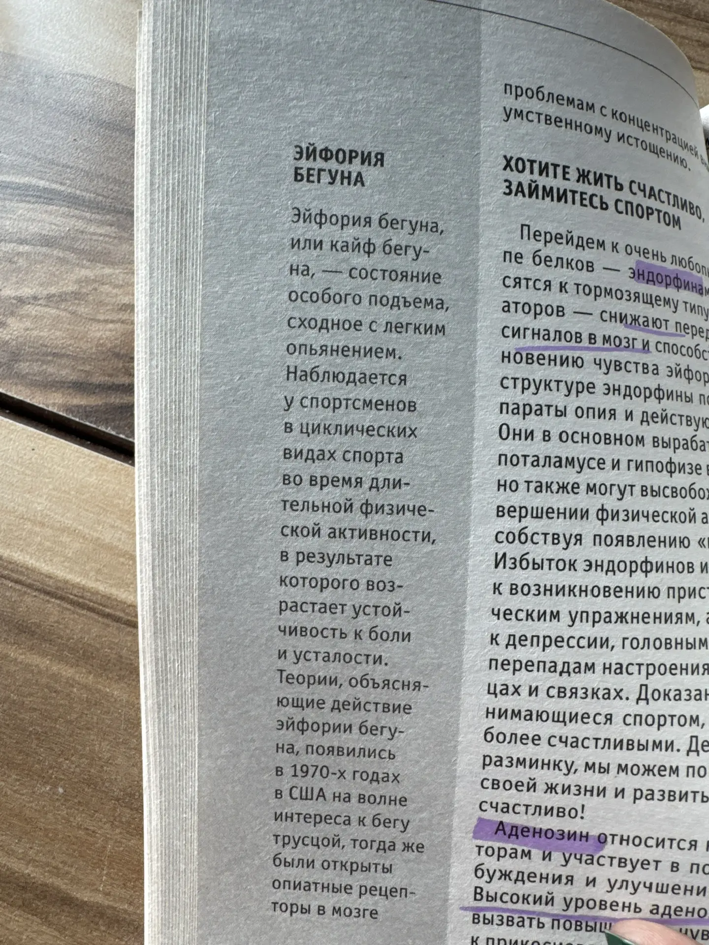 #чекасаемо спорта, но уже теория🤓