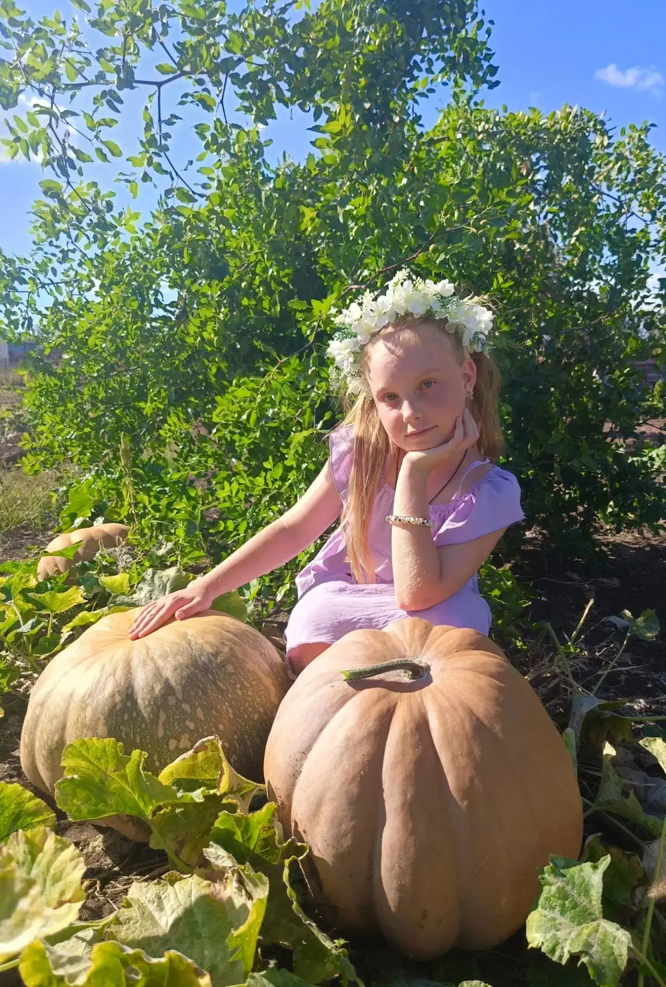 🎃 Гигантский урожай от Мещанин Татьяны 4 "А" класса!