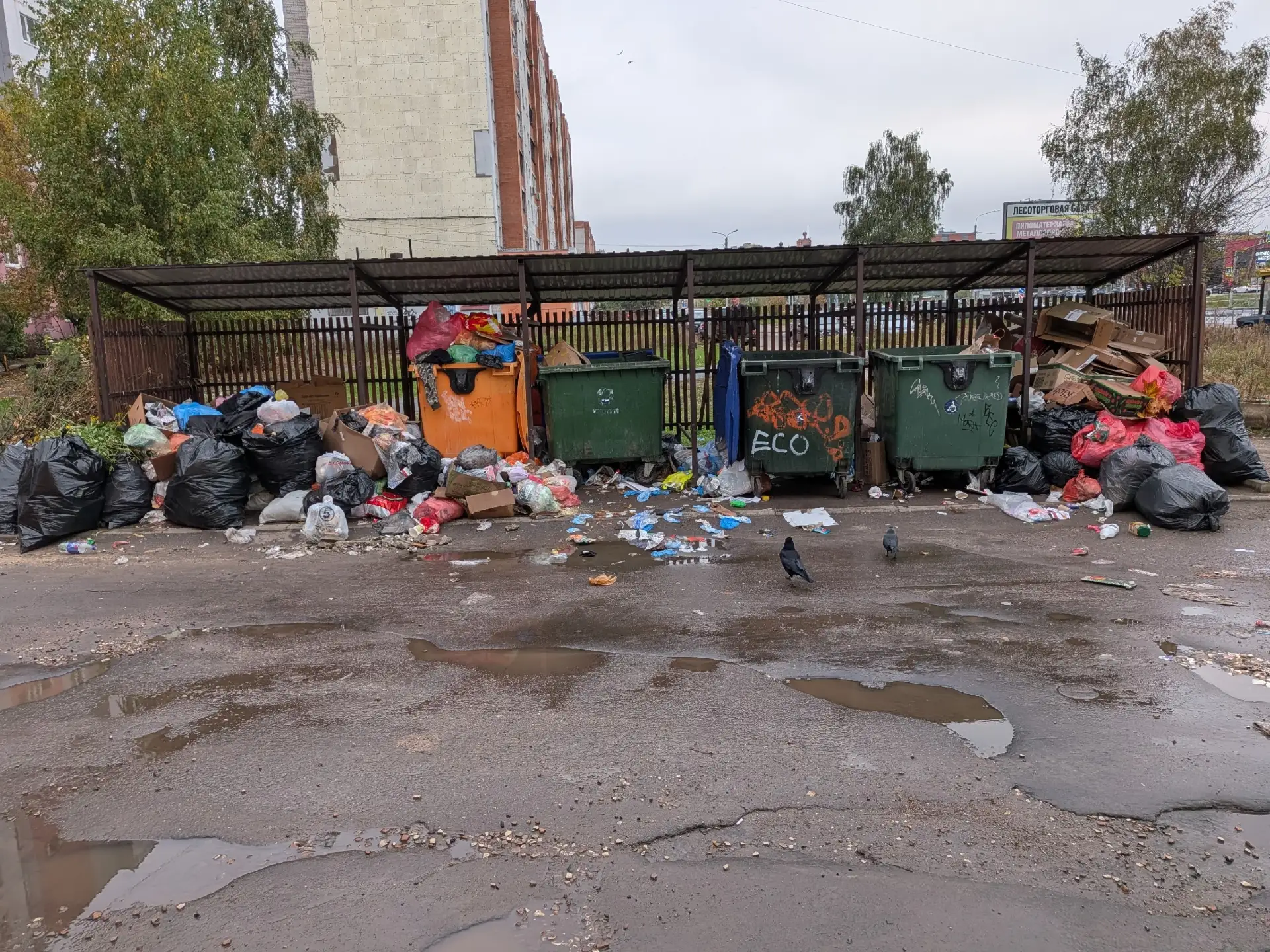 Машиностроителей 54.