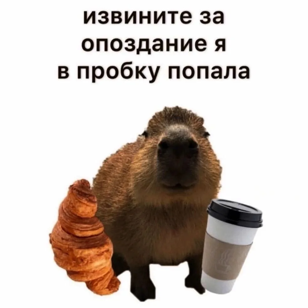 Сегодня отмечаем день ОПОЗДАНИЙ! 🥺