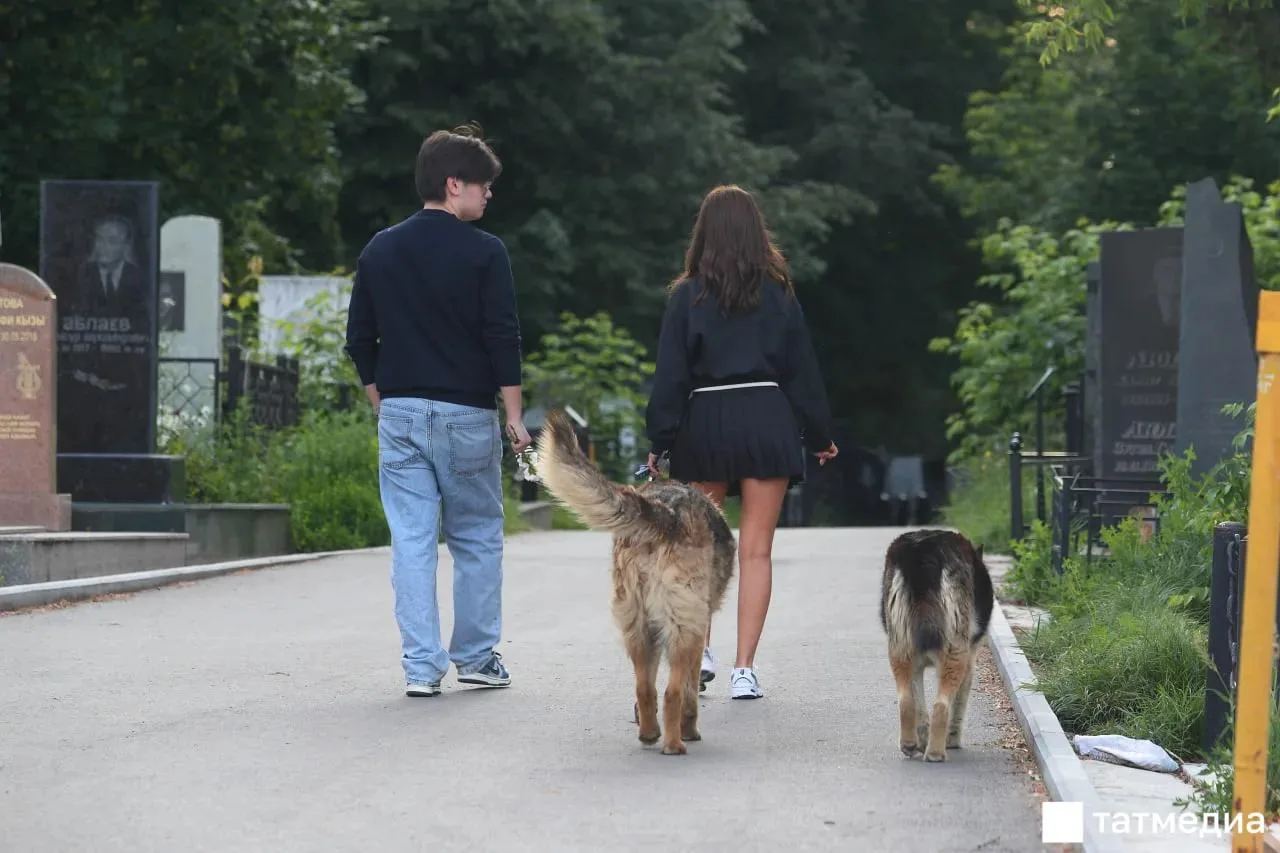 🐶🐱В Татарстане могут ужесточить правила содержания домашних животных

В республике планируют запре